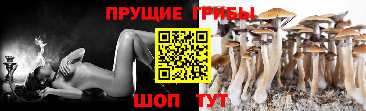 Южно-Сахалинск  Галлюциногенные грибы мухоморы  Вход с VPN  Галлюциногенные грибы GOLDEN TEACHER 